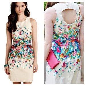 Anthropologie MAEVE Tea Garden sheath dress